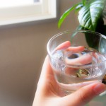 熱中症対策に有効な食べ物や飲み物は？今すぐできる対策予防は？