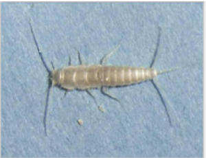 スクリーンショット 2016-04-29 23.44.56